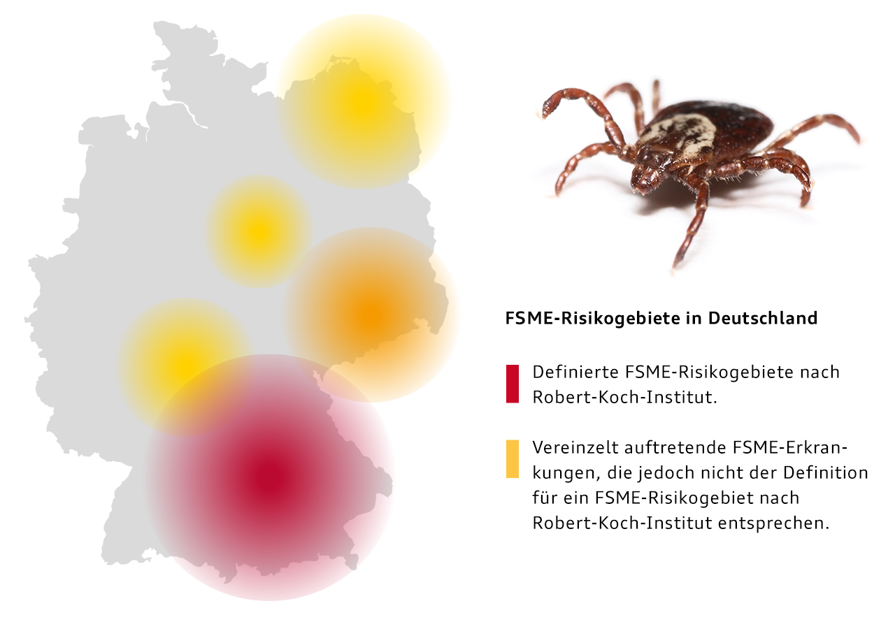 Karte der FSME Risikogebiete in Deutschland.