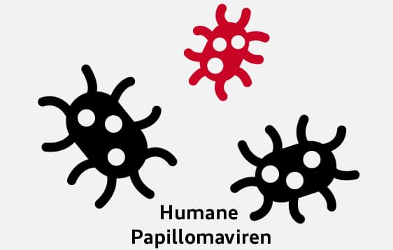 Abbildung Humane Papillomaviren