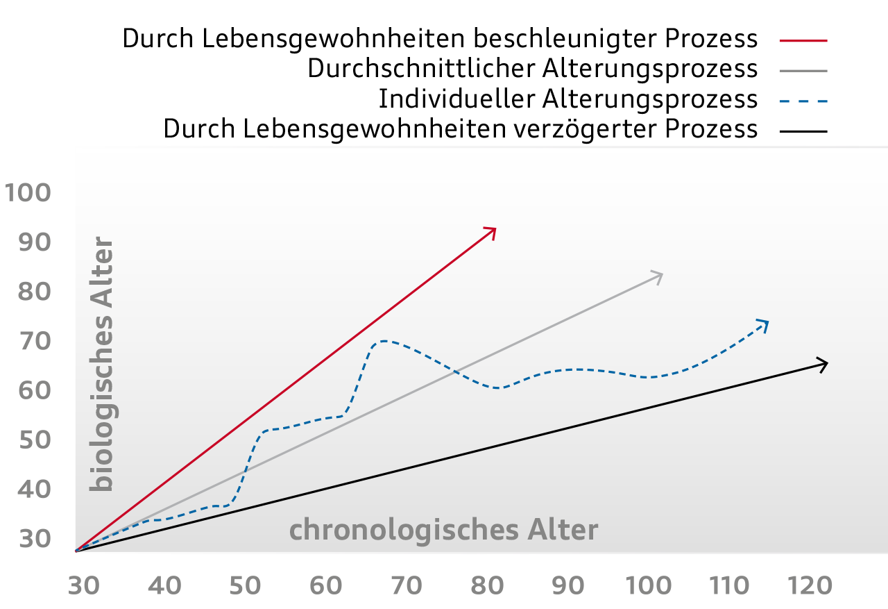 Ein Diagramm zeigt, dass man sein biologisches Alter im Vergleich zum chronologischen Alter durch seine Lebensgewohnheiten positiv beeinflussen kann.