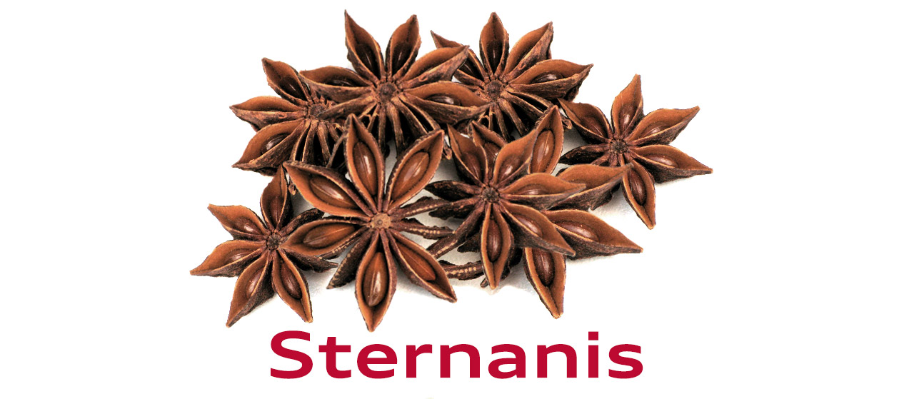 Sternanis