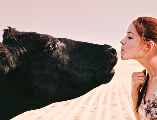 Frau küsst eine Kuh.