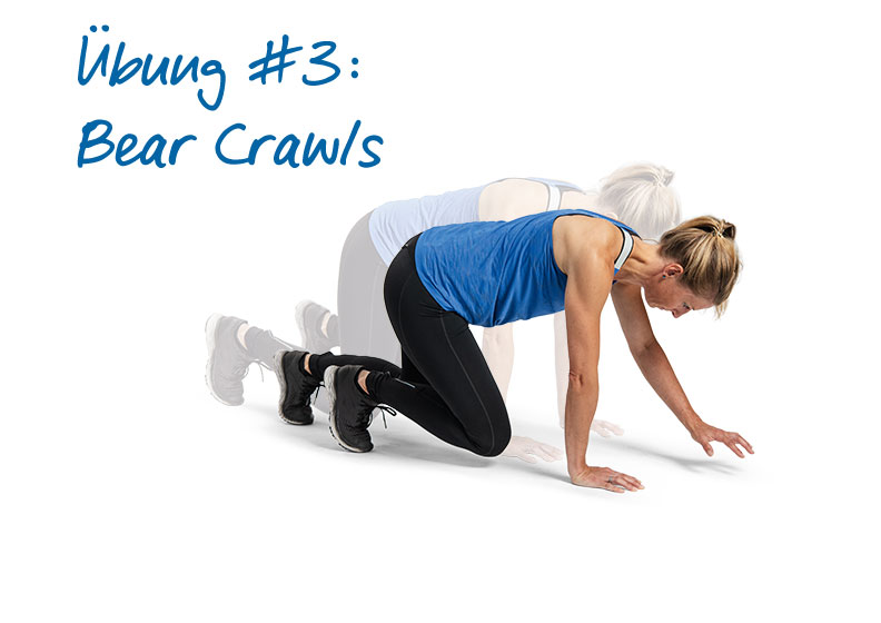 Bodyweight-Übung Bear Crawls