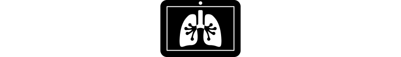 Visualisierung einer Lunge