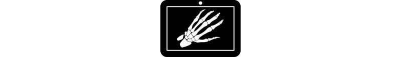 Visualisierung eines Knochen einer Hand
